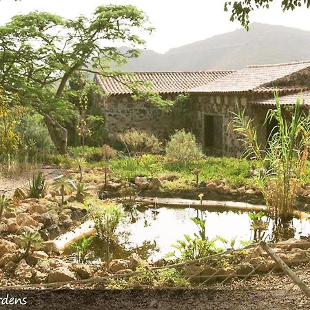Live Finca San Miguel San Miguel de Abona Eksteriør bilde