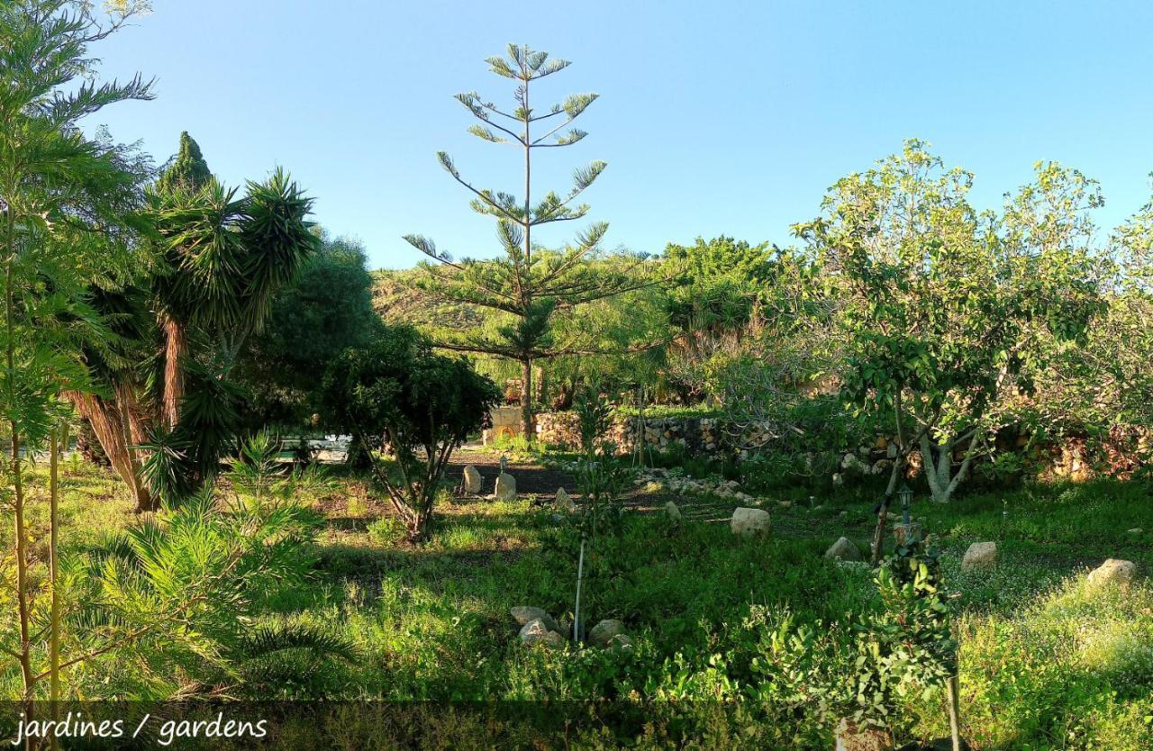 Live Finca San Miguel San Miguel de Abona Eksteriør bilde